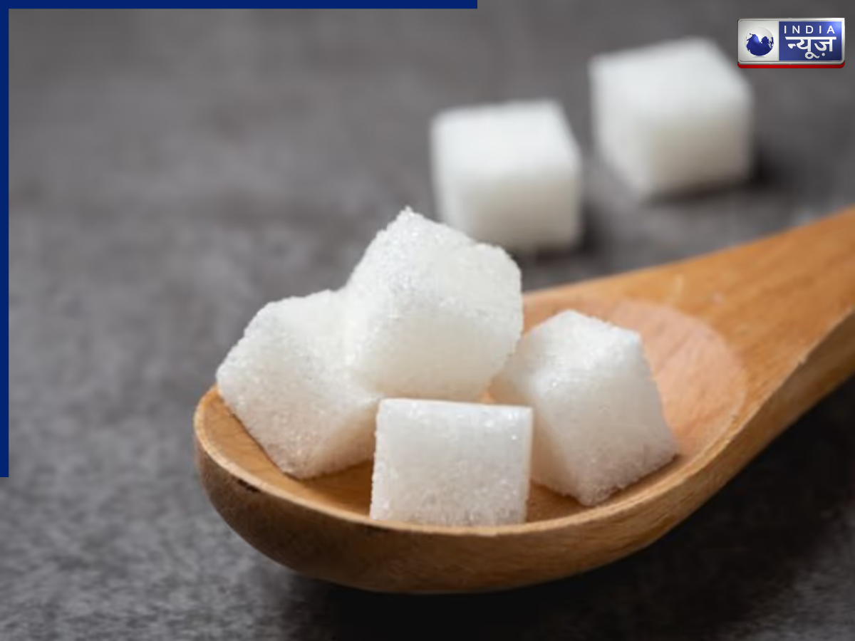 Use camphor - Photo Gallery