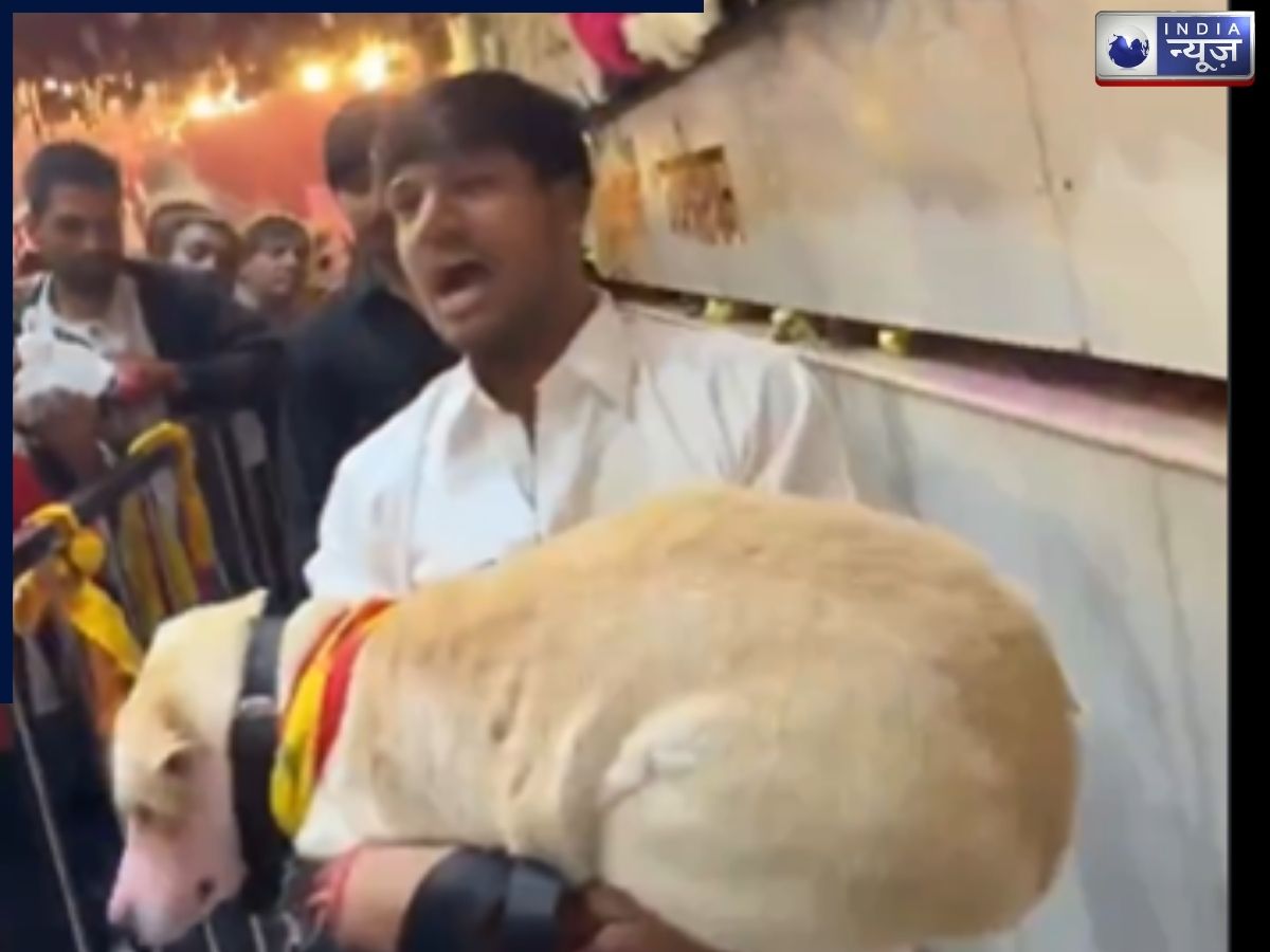 60 किलोमीटर की पैदल यात्रा और फिर VIP दर्शन! खाटूधाम में ‘डॉगेश भाई’ की भक्ति ने सबको किया भावुक