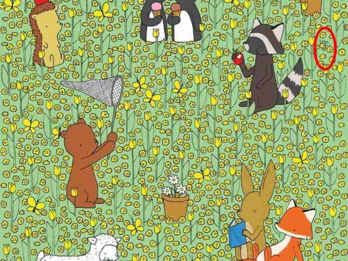 viral optical illusion challenge 1