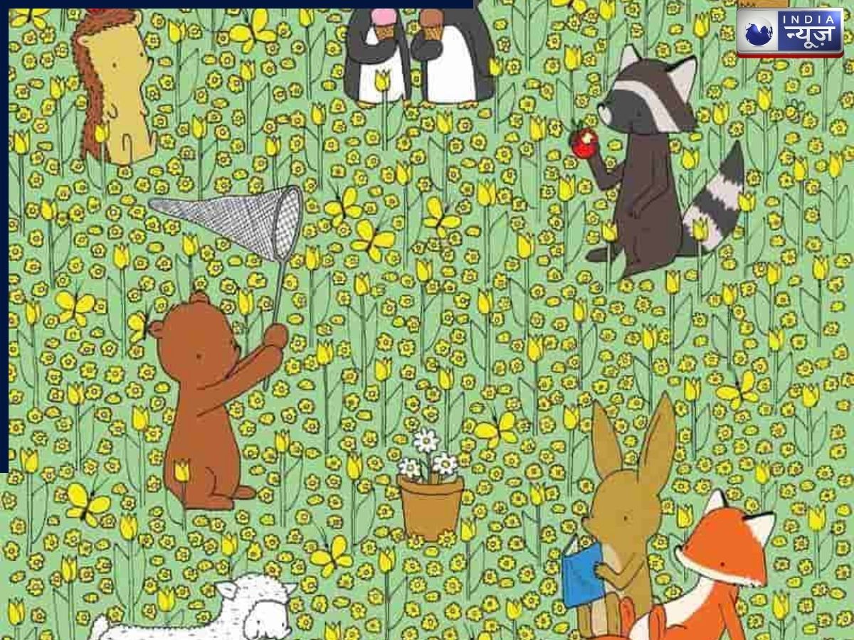 10 सेकंड का सुपर चैलेंज! क्या आप इस खूबसूरत बगीचे में छिपी मधुमक्खी ढूंढ सकते हैं या मान लेंगे हार?