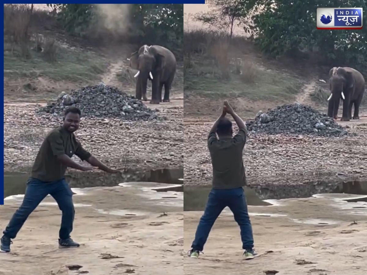 Elephant Dancing Video: हाथी को भी चढ़ा डांस का खुमार! शख्स के ठुमकों पर यूं झूम उठा ‘गजराज’