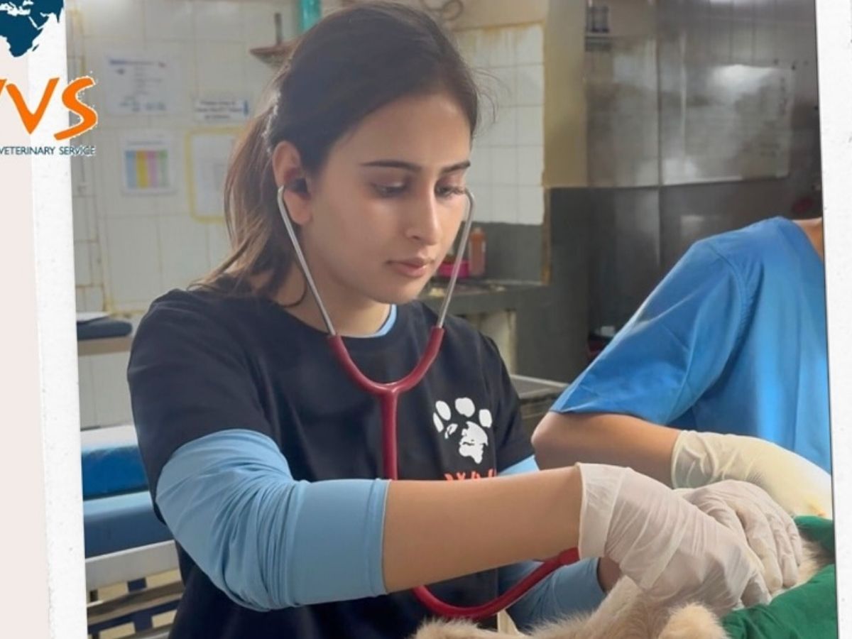 What does saaniya chandhok do - Photo Gallery