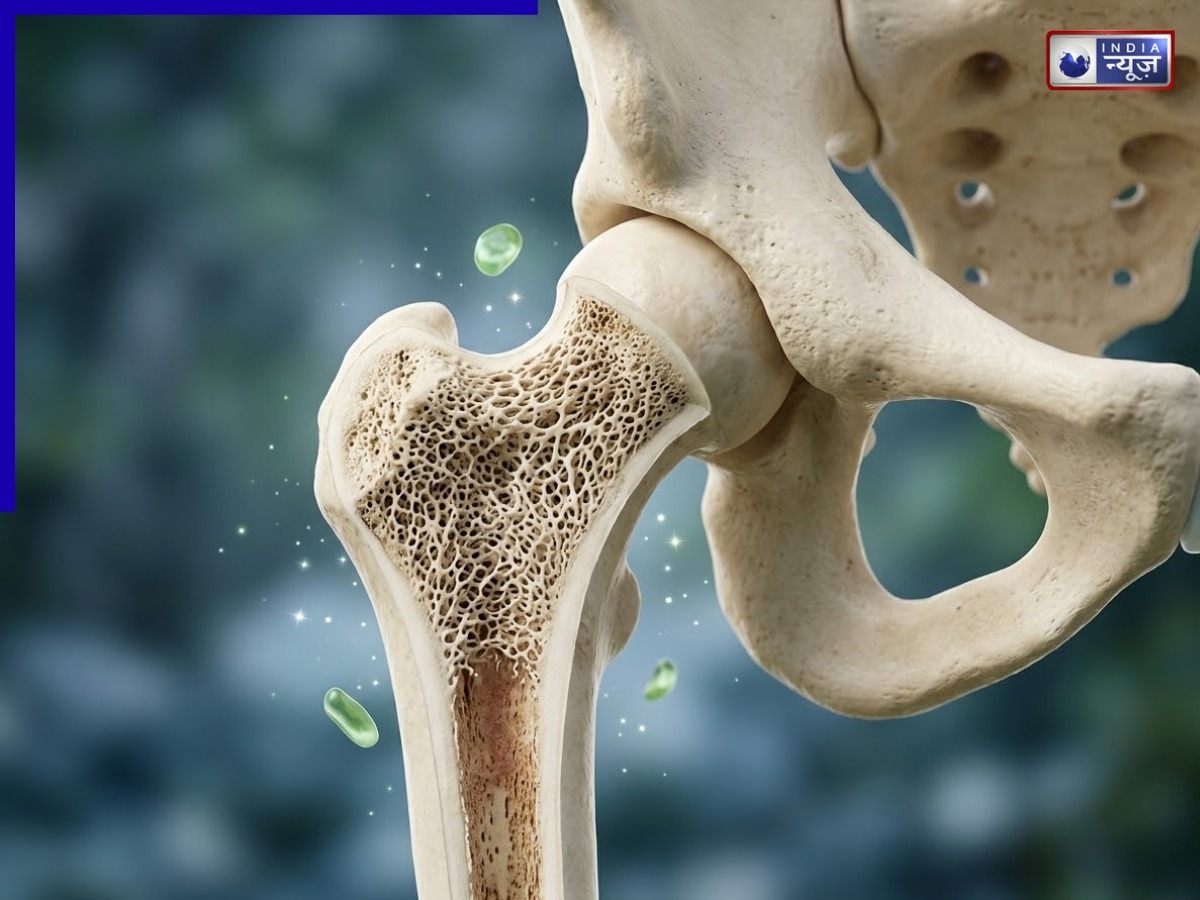 कहीं आपकी भी तो नहीं हैं ये आदतें? कमजोर हो सकती हैं हड्डियां, ऐसे रखें अपनी बोन डेंसिटी का ध्यान