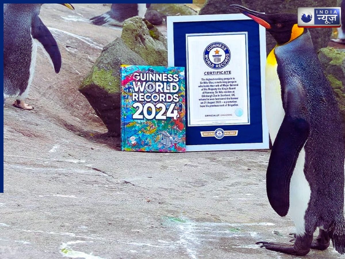 Nils Olav is a Major General - Photo Gallery