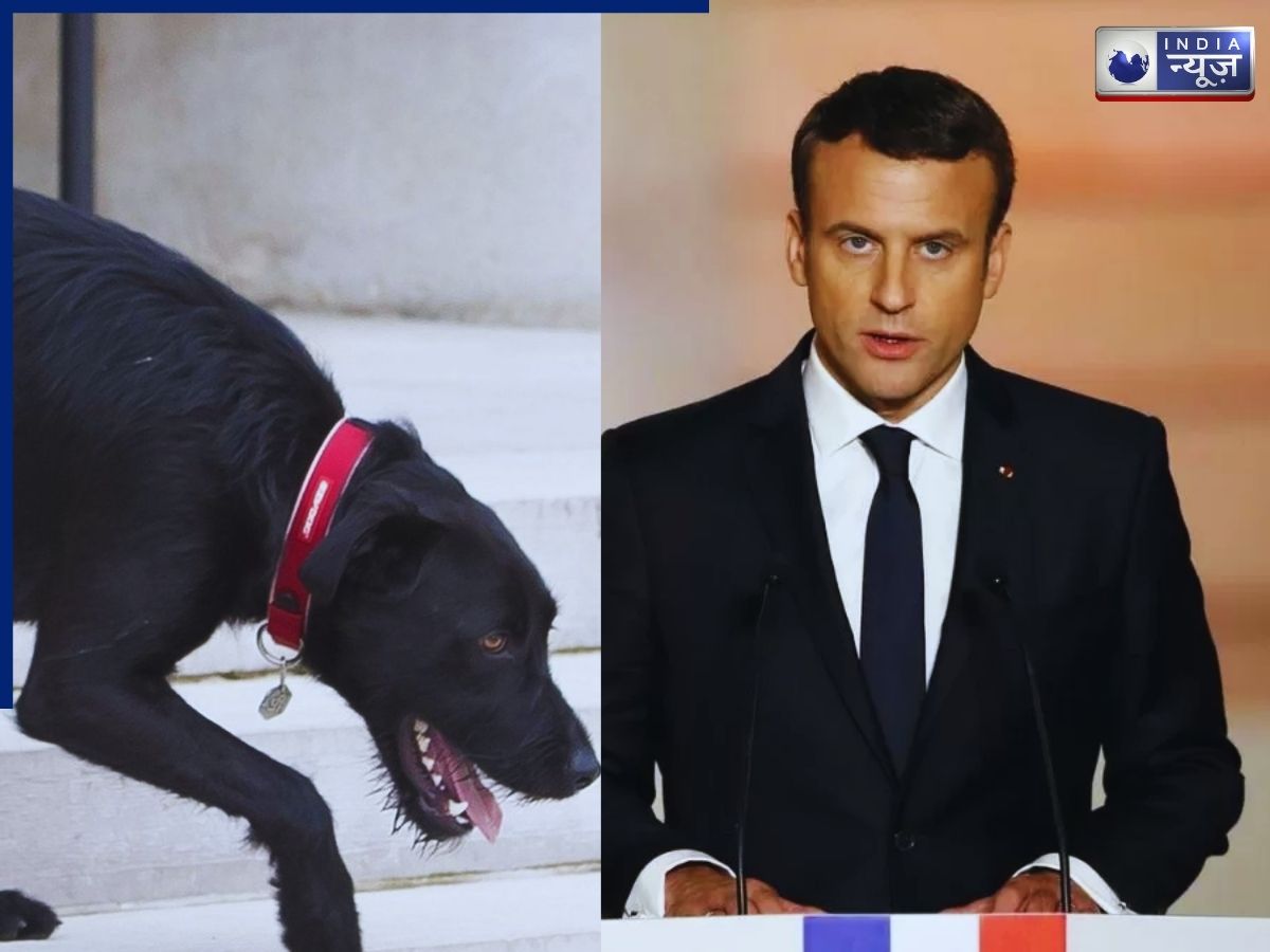 Nemo is friendly - Photo Gallery