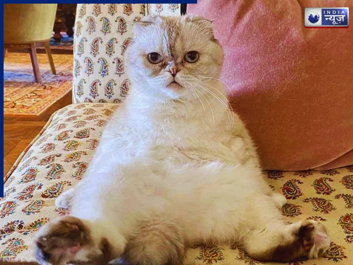 Olivia Benson is quite famous - Photo Gallery