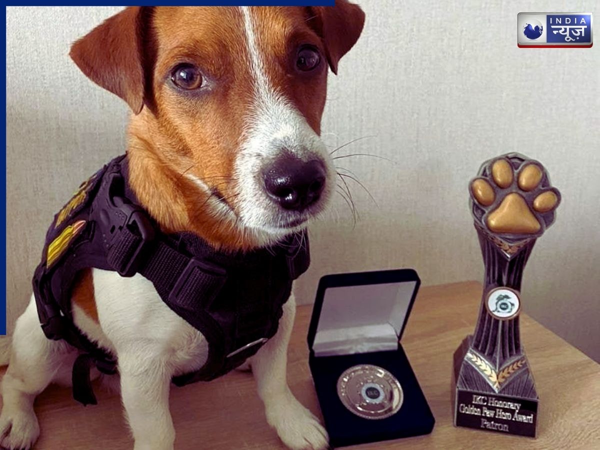 Patron is the people hero - Photo Gallery