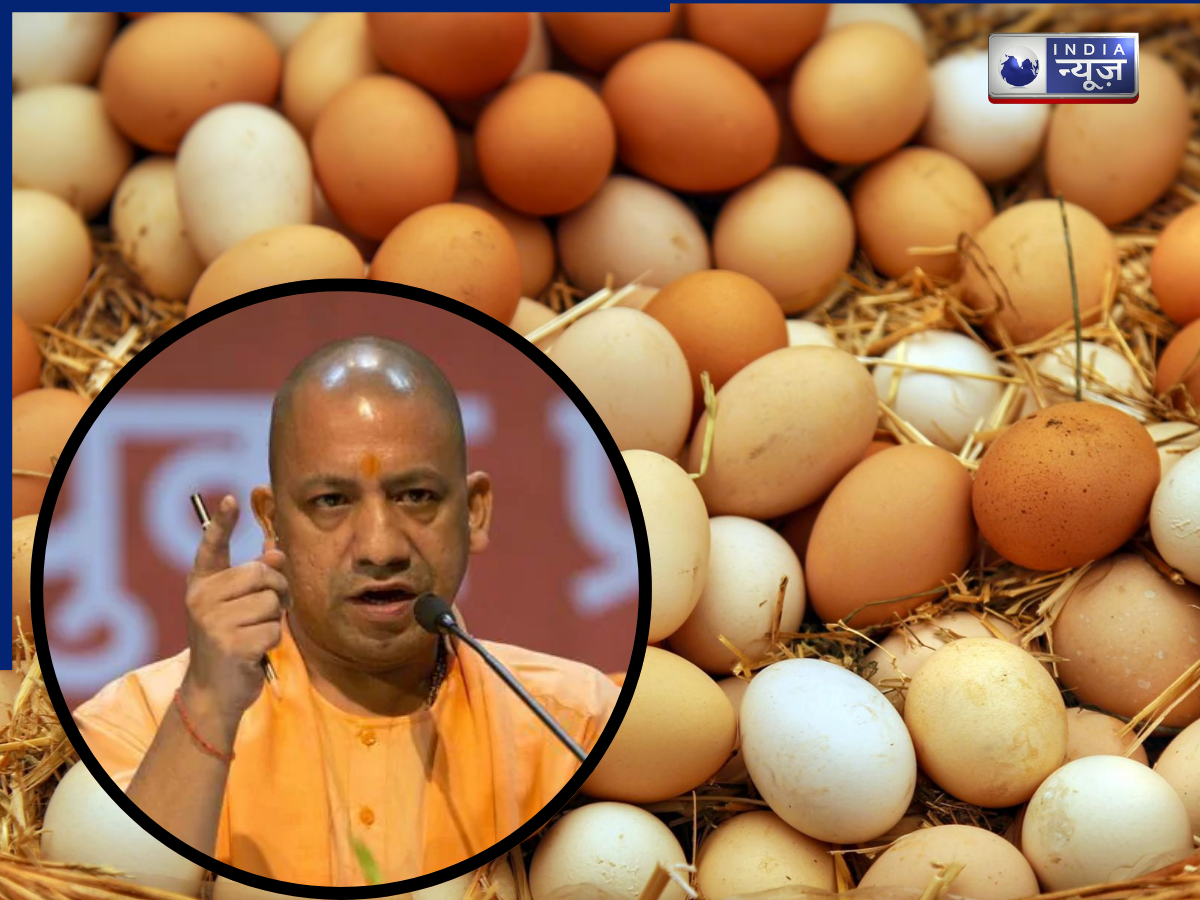 UP Egg Expiry Date rule: अंडों की बिक्री पर योगी सरकार का बड़ा निर्णय, जानें क्या हैं नए नियम
