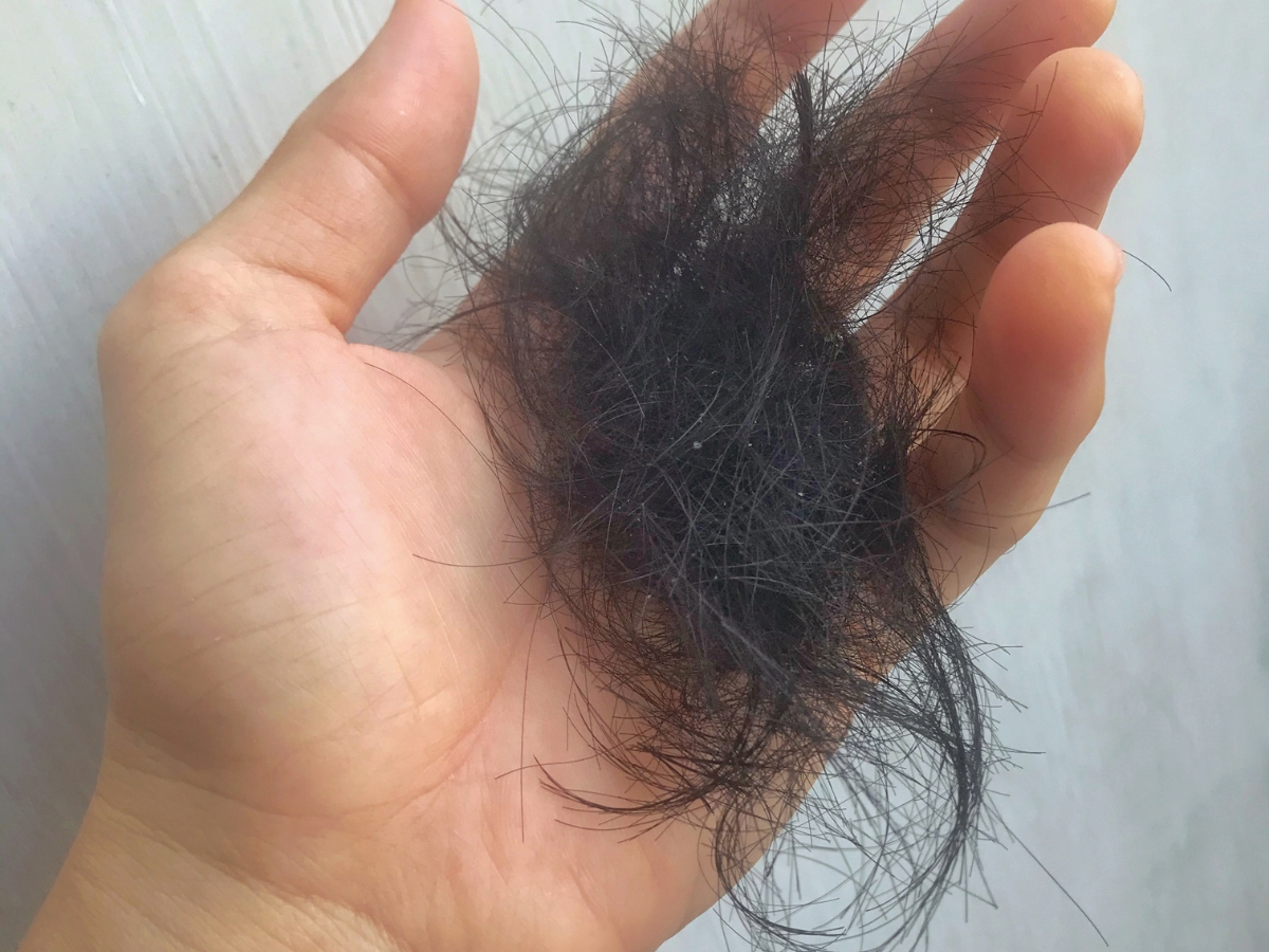 Lifestyle - Photo Gallery