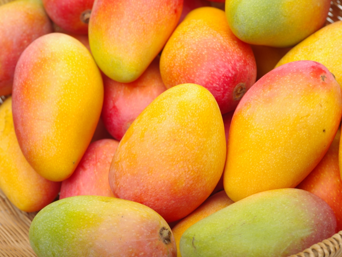 Eat less - Photo Gallery