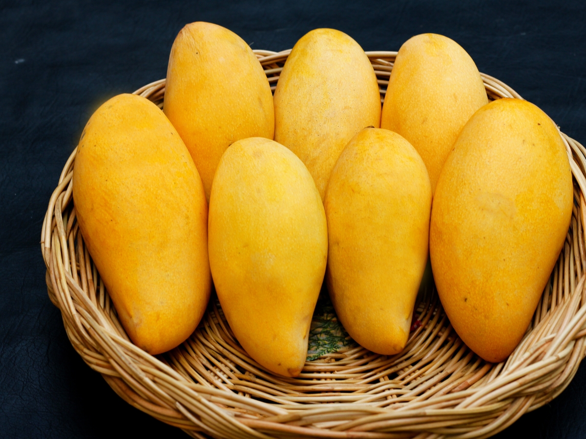 Eessential to exercise restraint - Photo Gallery