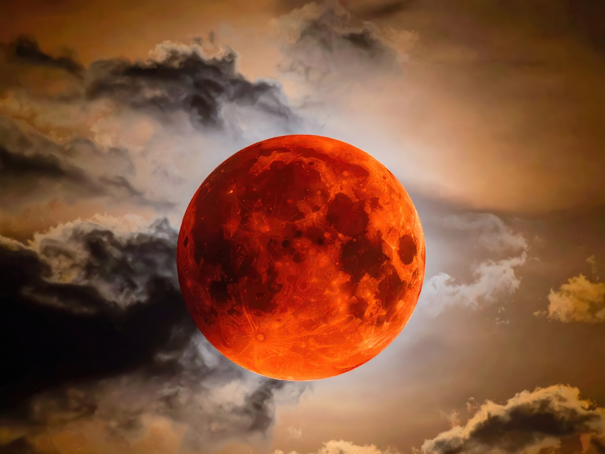 Red Moon - Photo Gallery
