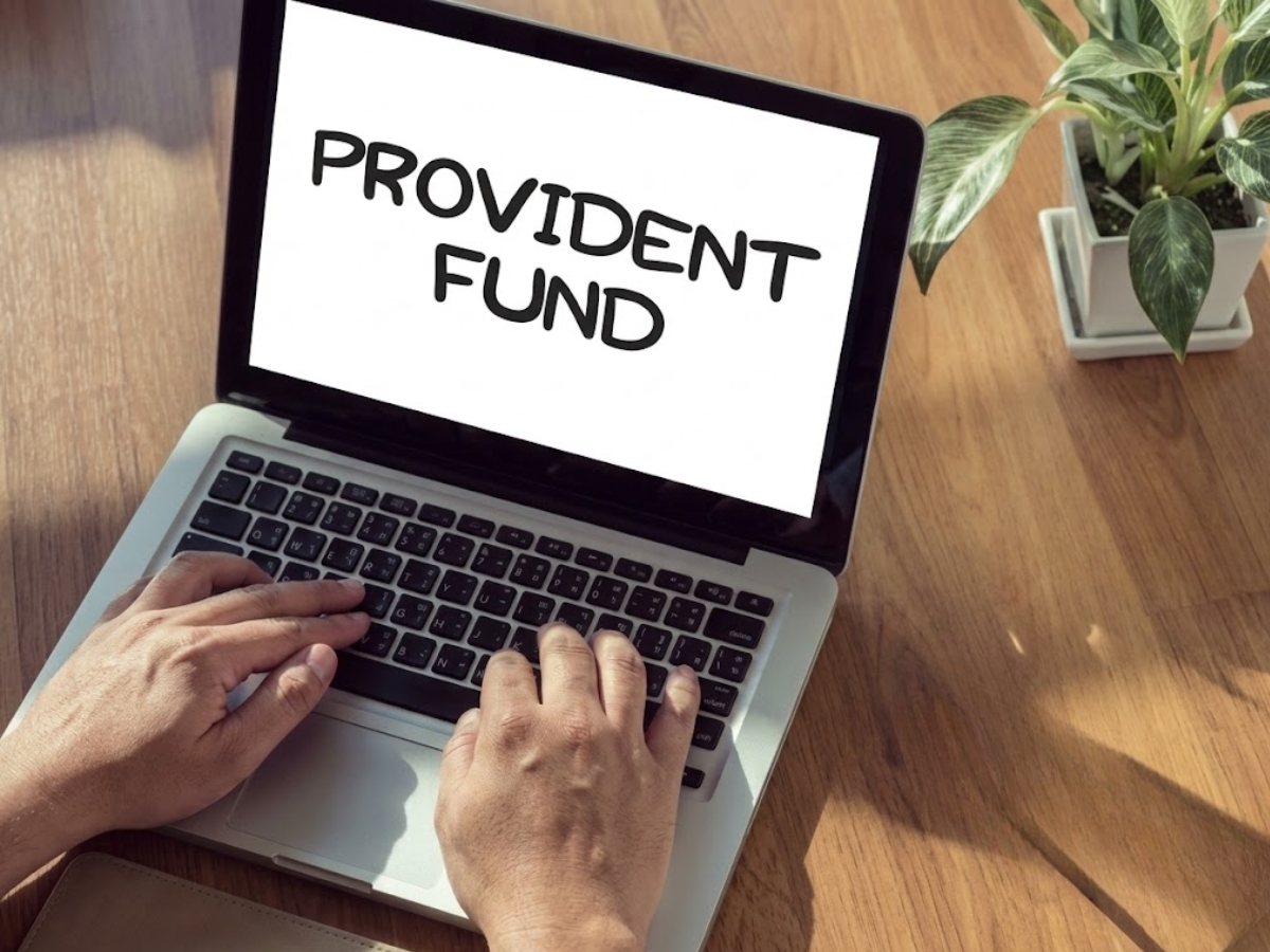 Three Simple Categories - Photo Gallery