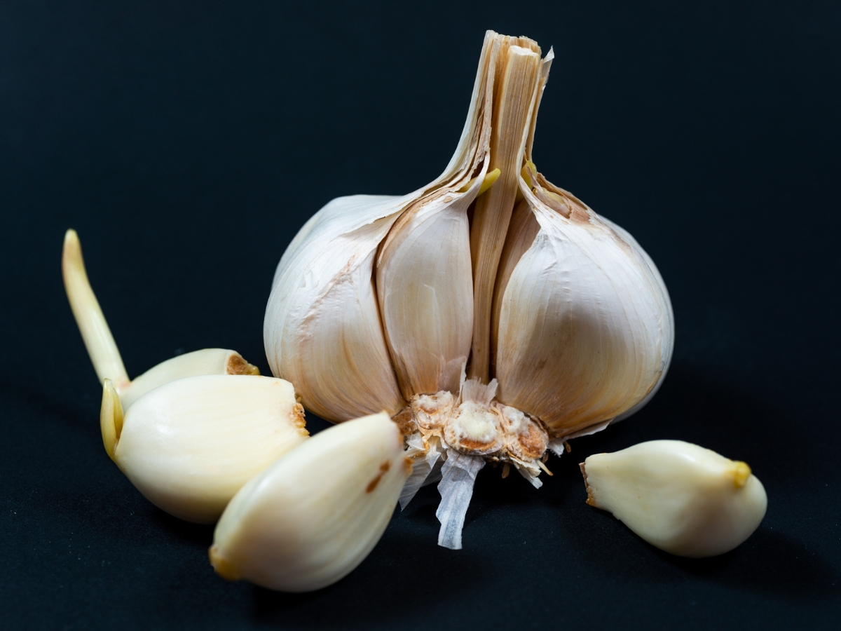 How to Store Garlic - Photo Gallery