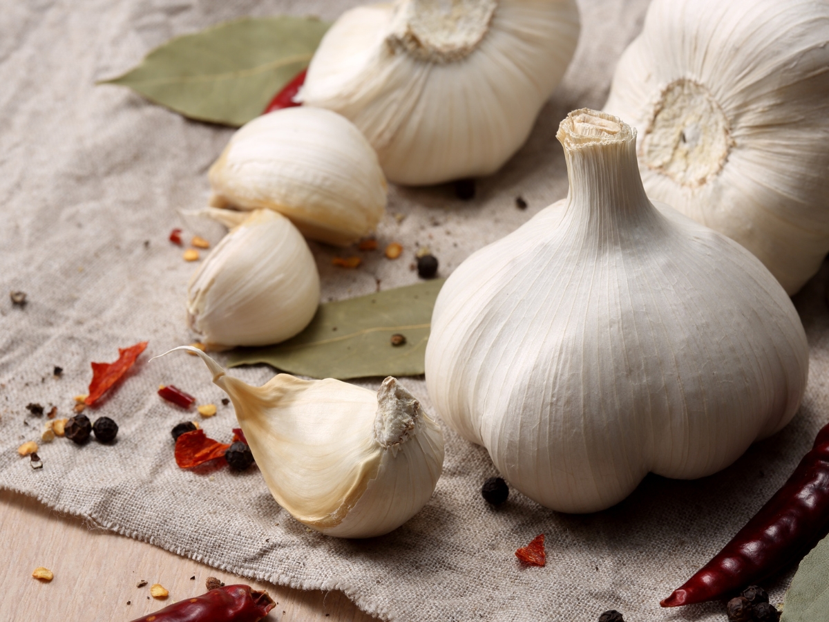 How to Store Garlic - Photo Gallery