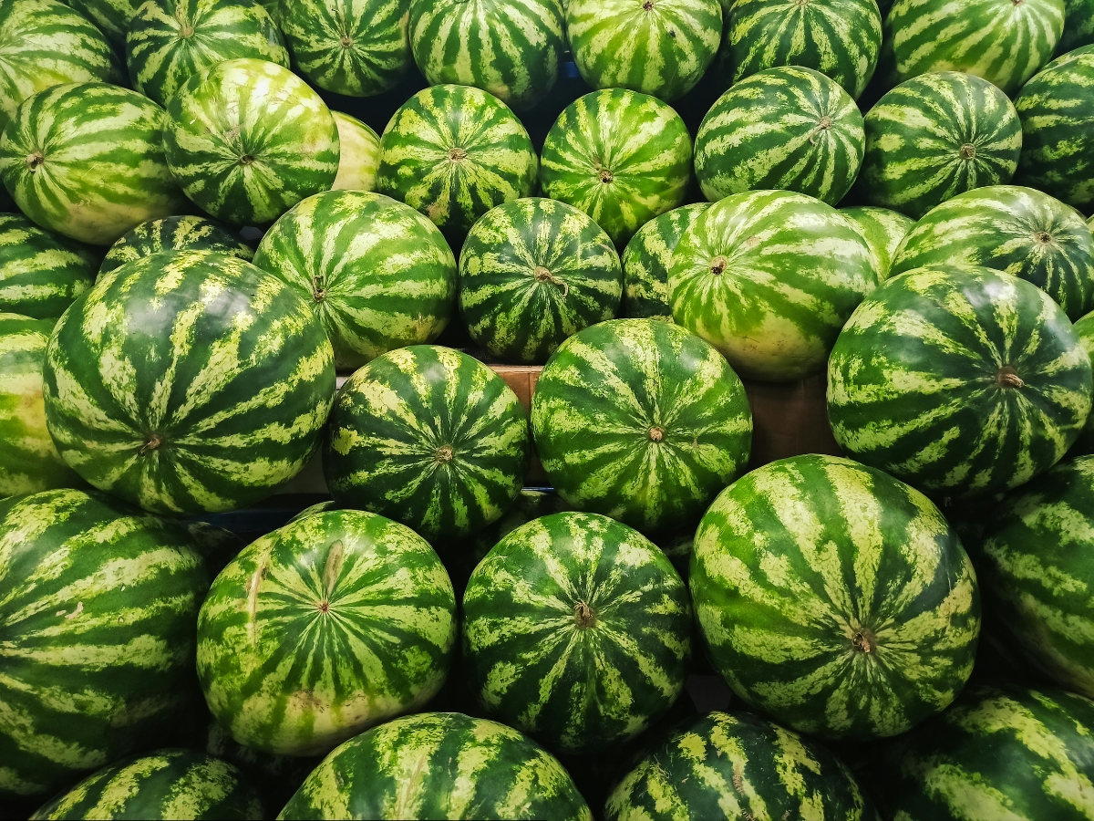 Which watermelon is more beneficial? - Photo Gallery
