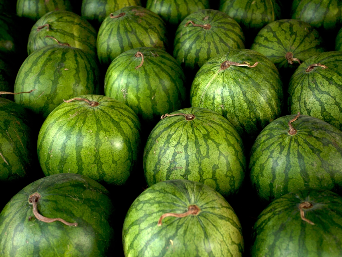Which watermelon is more beneficial? - Photo Gallery