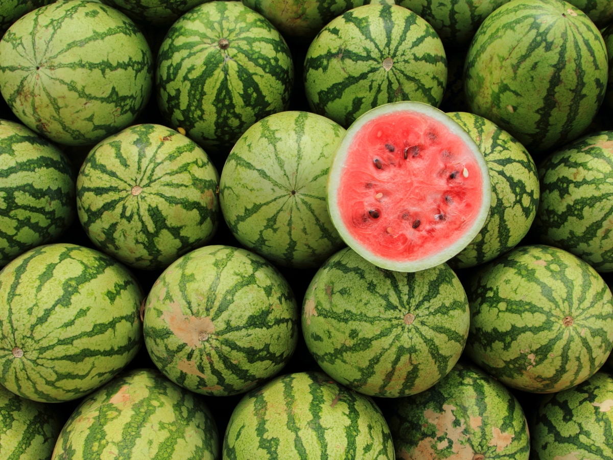 Which watermelon is more beneficial? - Photo Gallery