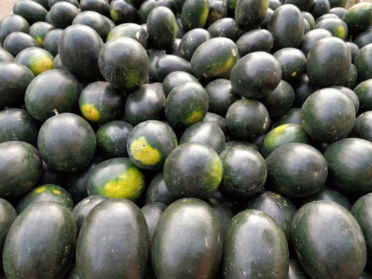 Which watermelon is more beneficial? - Photo Gallery