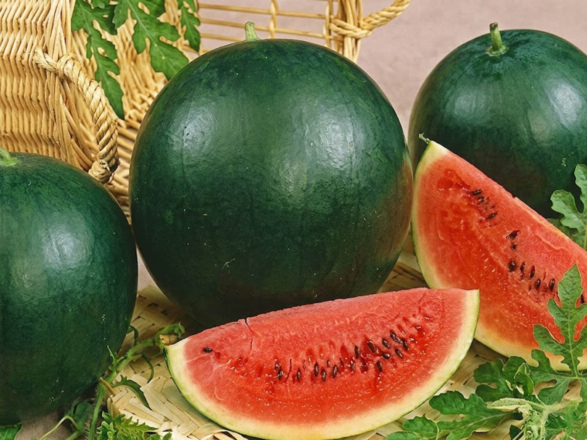 Which watermelon is more beneficial? - Photo Gallery