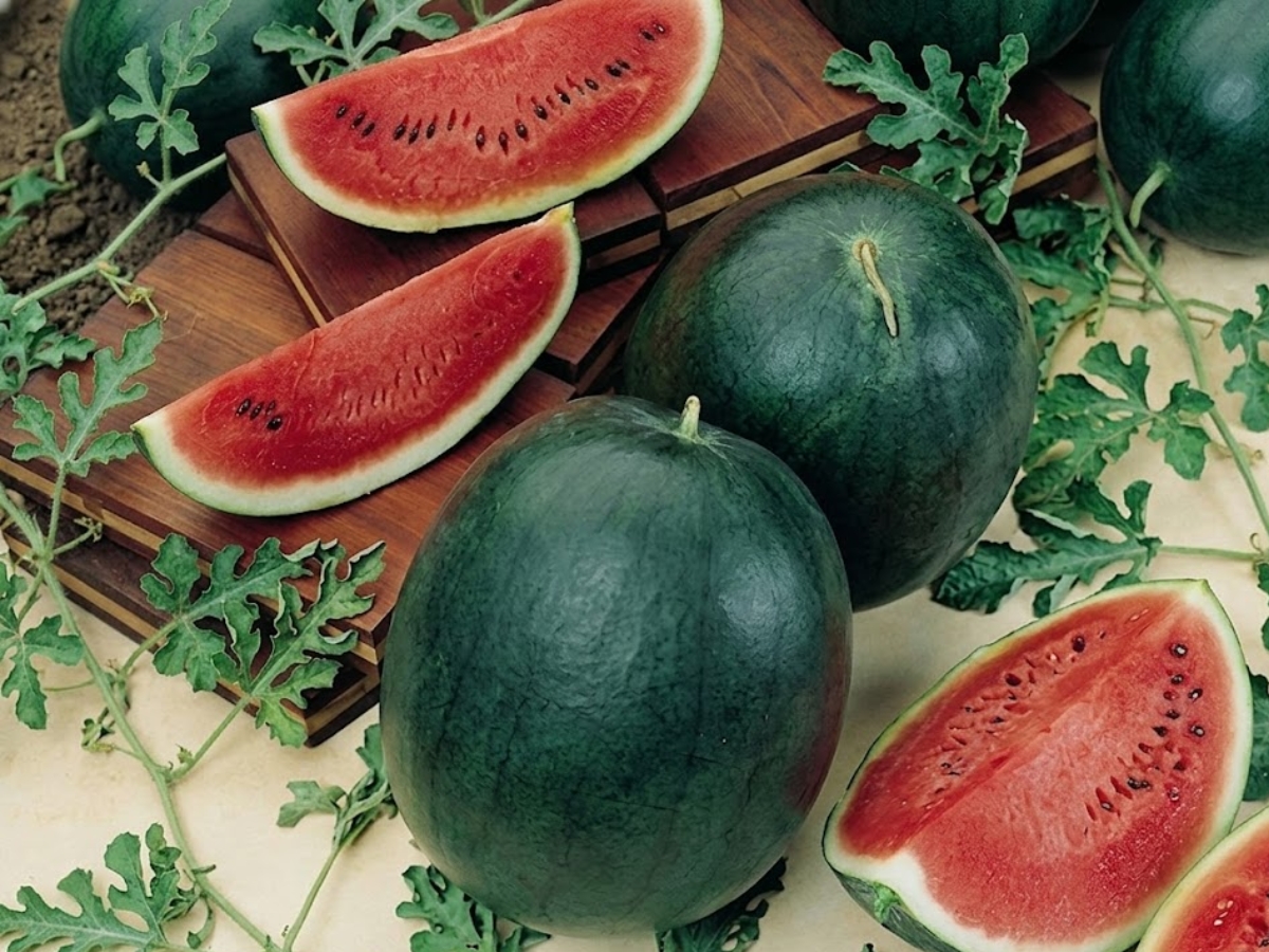 Which watermelon is more beneficial? - Photo Gallery