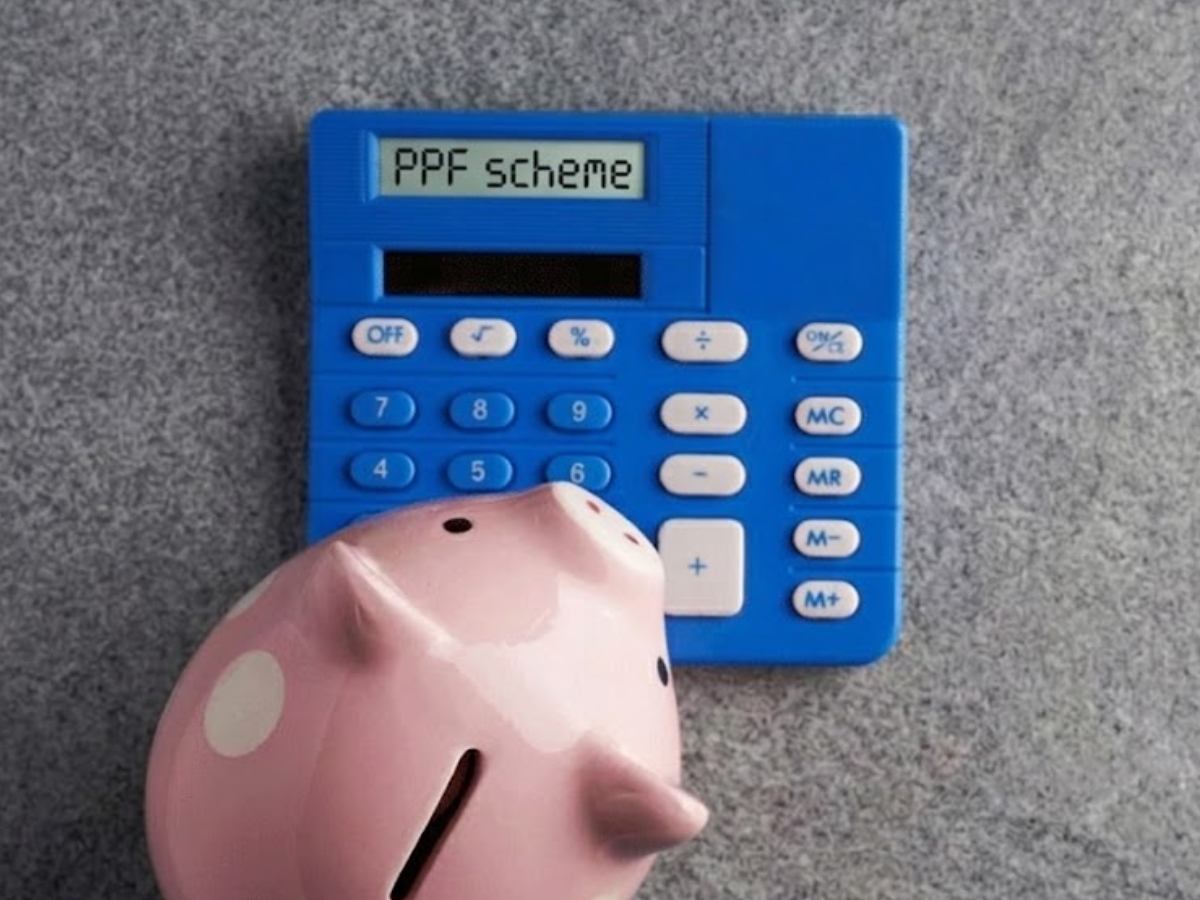 how to get full year interest - Photo Gallery