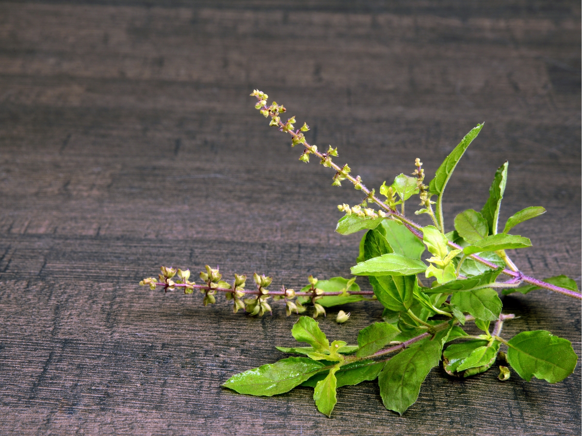 use in diya - Photo Gallery