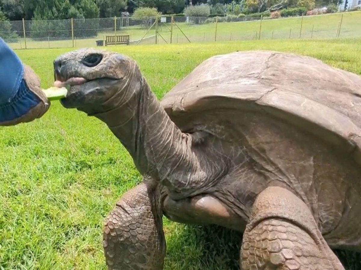 A historic age of 193 years - Photo Gallery