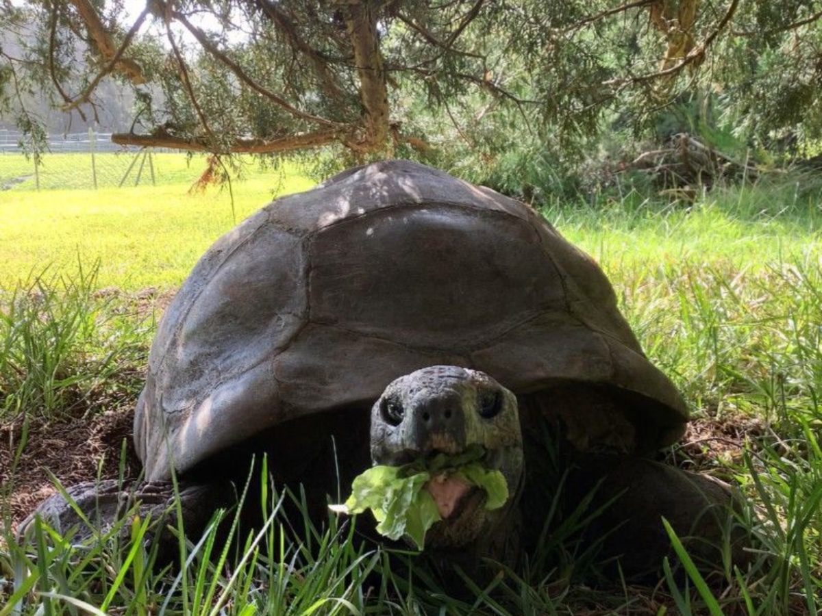 The Island's Tourist Attractions - Photo Gallery