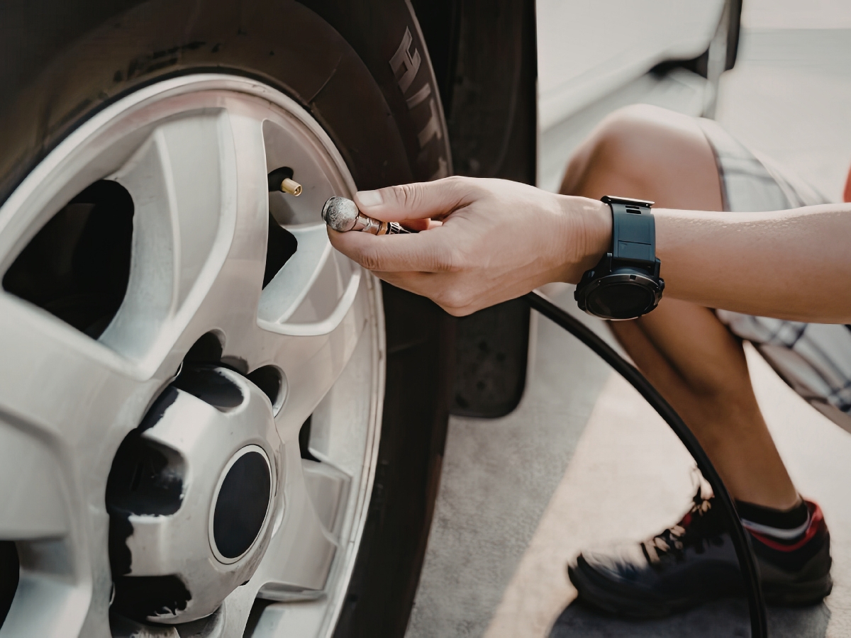 check in 15 to 20 days - Photo Gallery