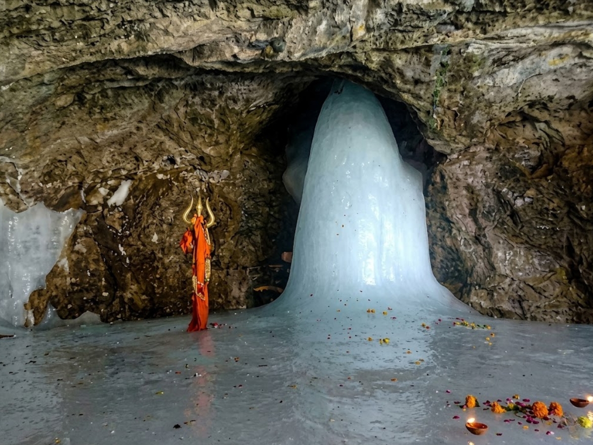 how to make medical certificate - Photo Gallery