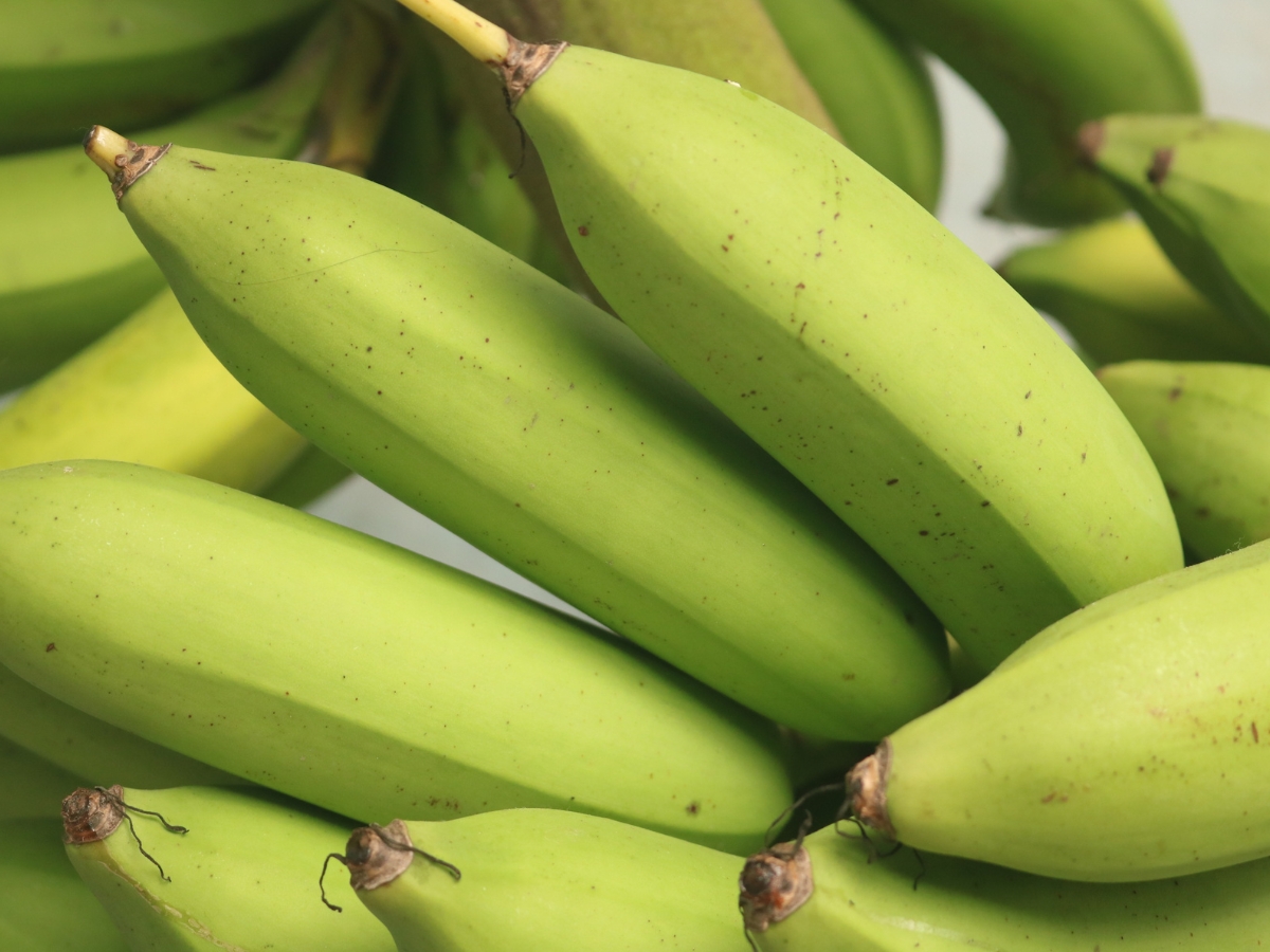 Improves digestion. - Photo Gallery