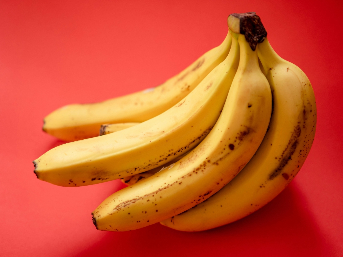 Instant Energy - Photo Gallery