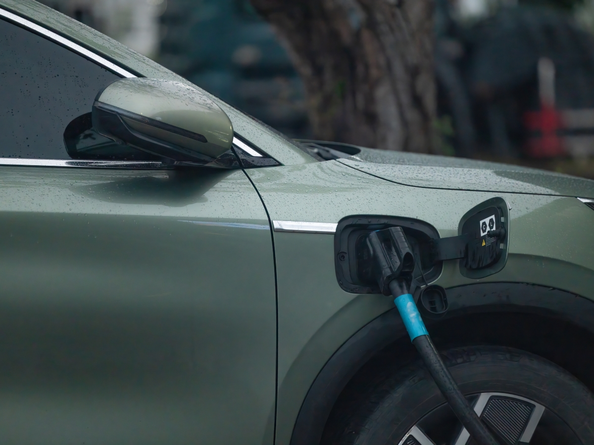 which is better in performance - Photo Gallery