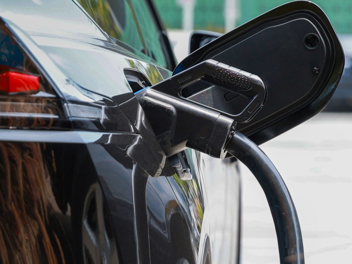 which is budget friendly - Photo Gallery