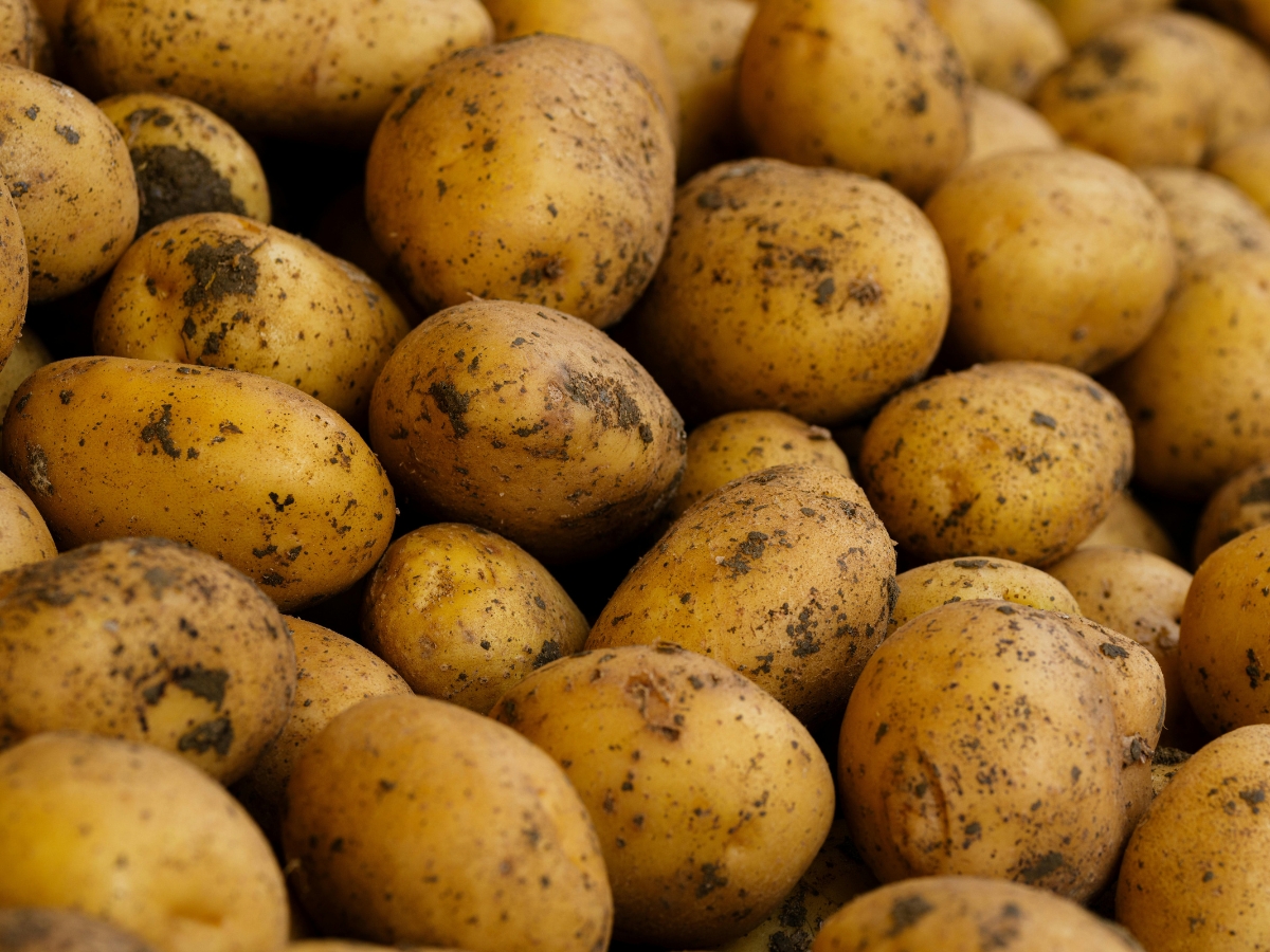 Can I eat potatoes or not? - Photo Gallery