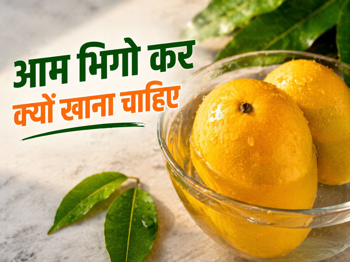 Aam Bhigo Kar Kyu Khana Chahiye: आखिर क्यों आम खाने से पहले इसे लोग भिगोते हैं? जानें इसका कारण