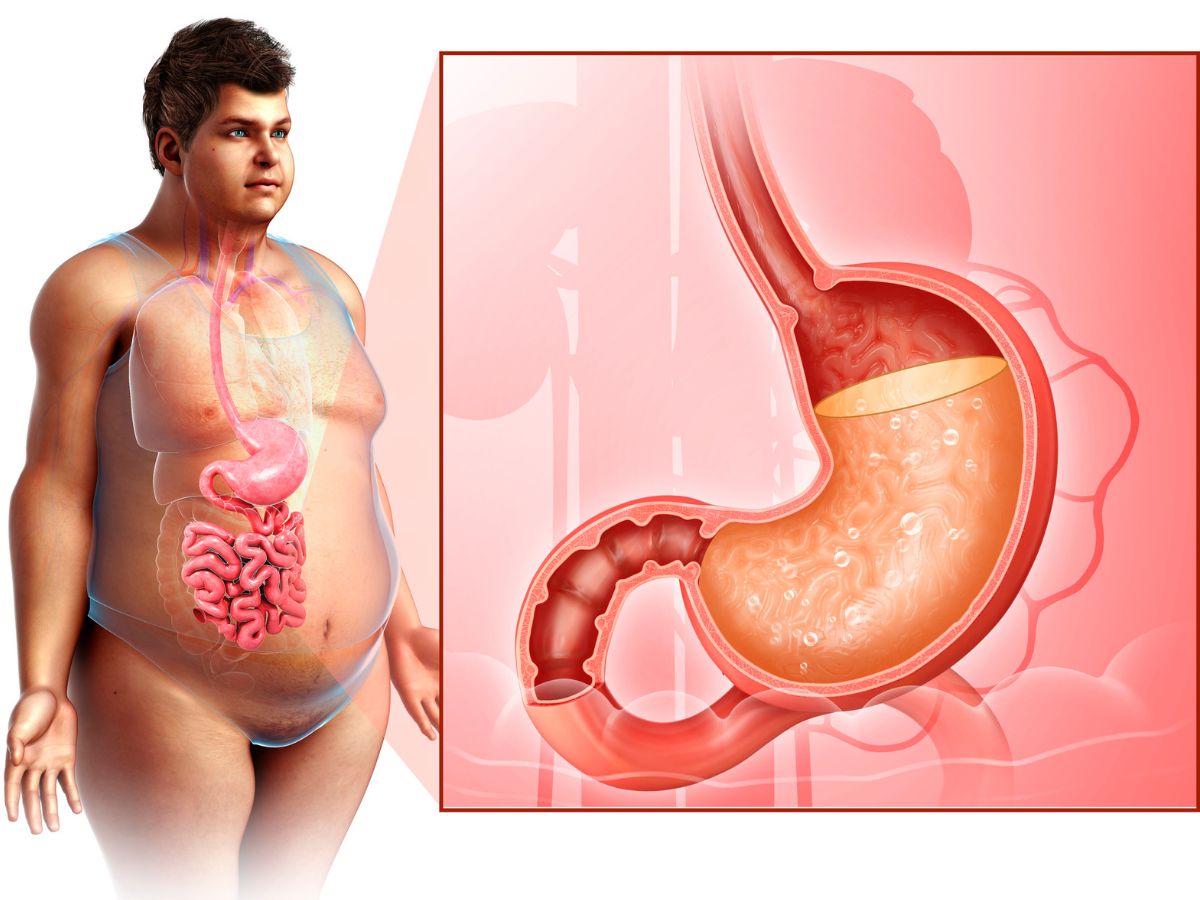 Benefits of chewing fennel after meals - Photo Gallery