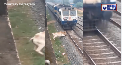 AI का खतरनाक खेल: क्या सच में ‘गौ माता’ ने ट्रेन के आगे से बच्चे को बचाया? जानें इस वायरल वीडियो का असली सच!