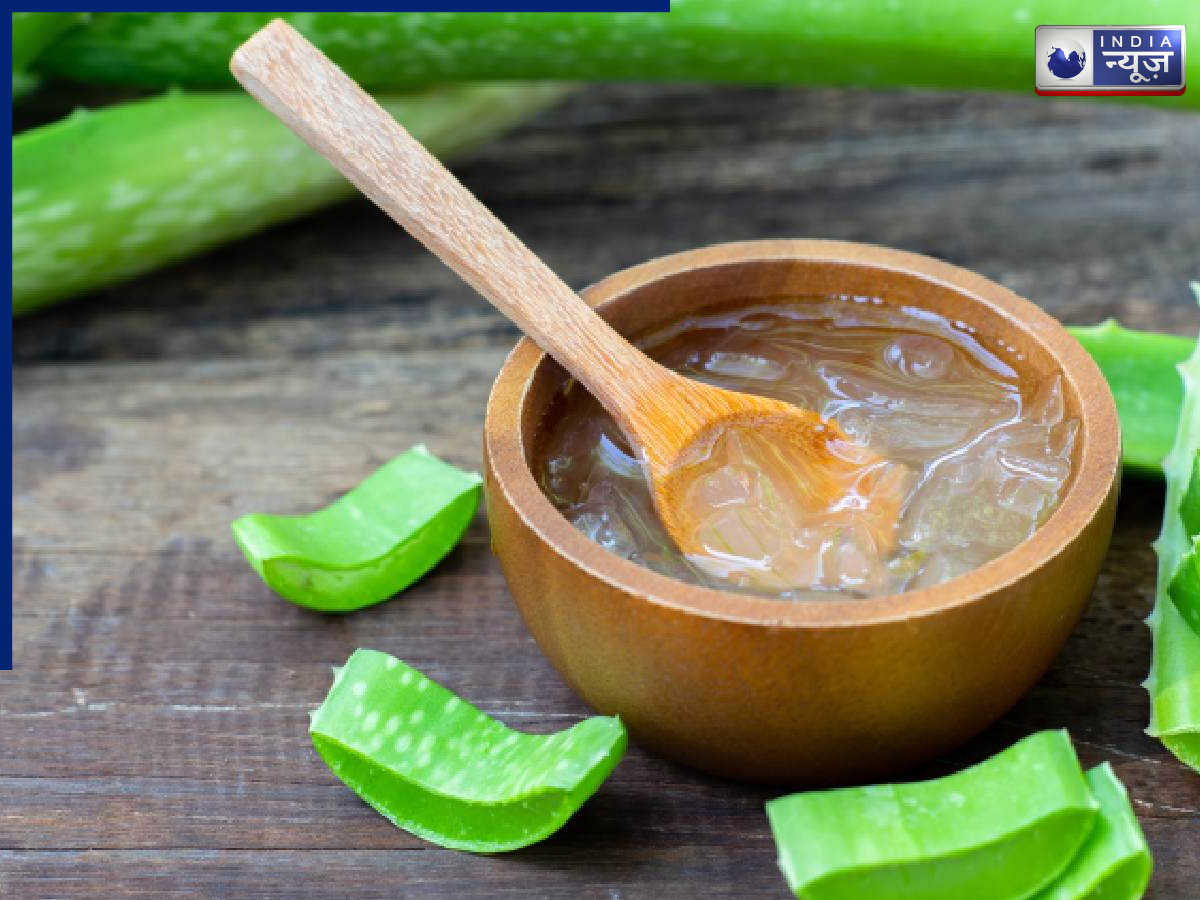 properties found in Aloe Vera - Photo Gallery