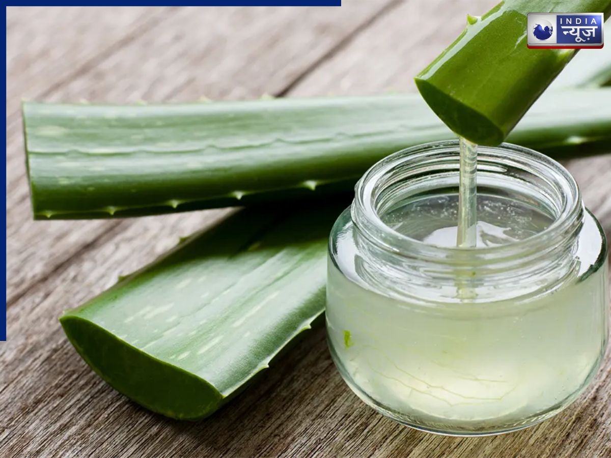 Aloe Vera helps get rid of tanning - Photo Gallery