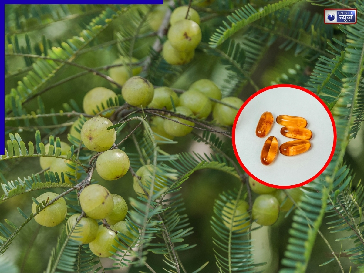 ₹500 के विटामिन C सप्लीमेंट का तोड़ है ₹5 का ये छोटा-सा फल, नस-नस में भर देता है गजब की एनर्जी