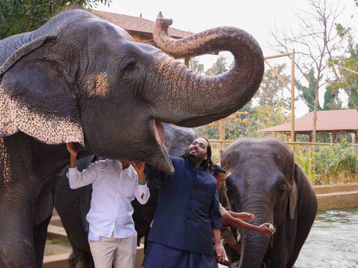 anant ambani disease - Photo Gallery