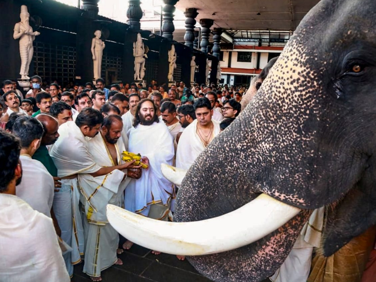 Anant Ambani Birthday - Photo Gallery