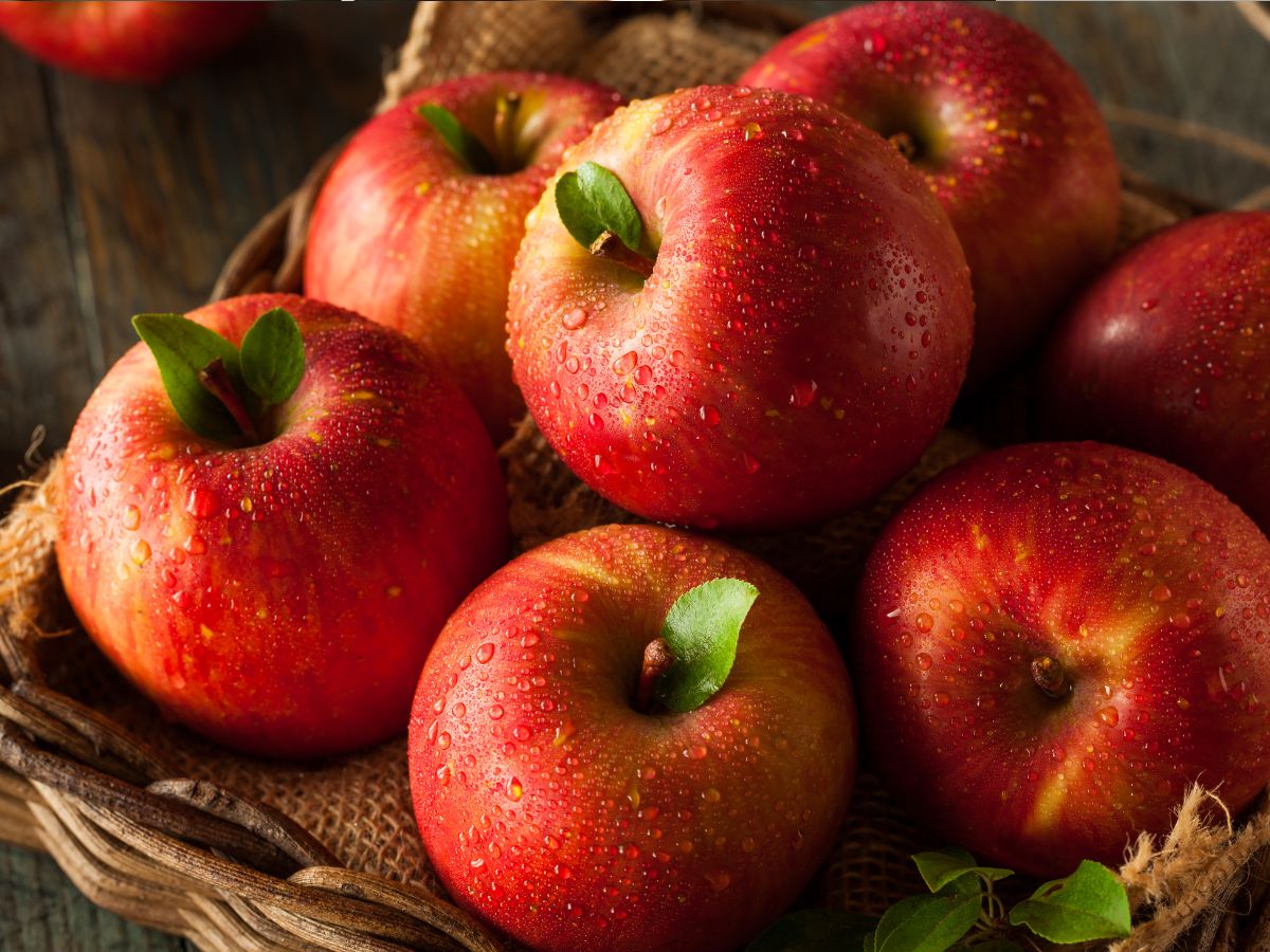 Fiber-Calcium Rich Fruits like apple - Photo Gallery