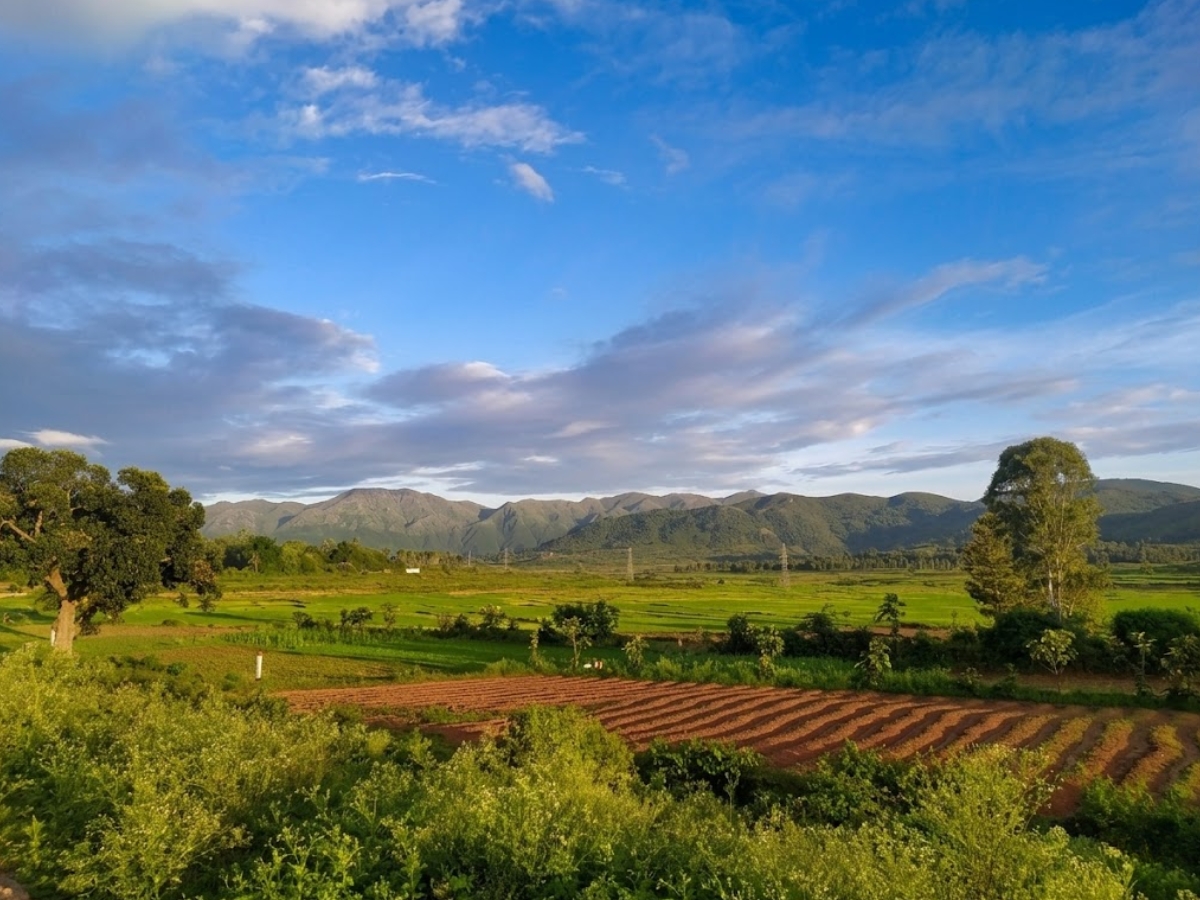 araku valley - Photo Gallery