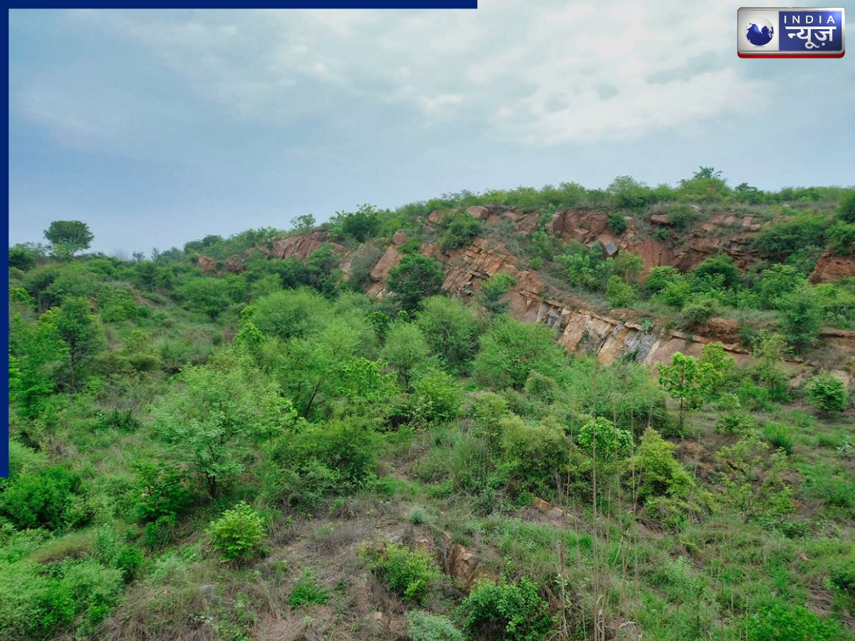 Aravalli Biodiversity Park - Photo Gallery