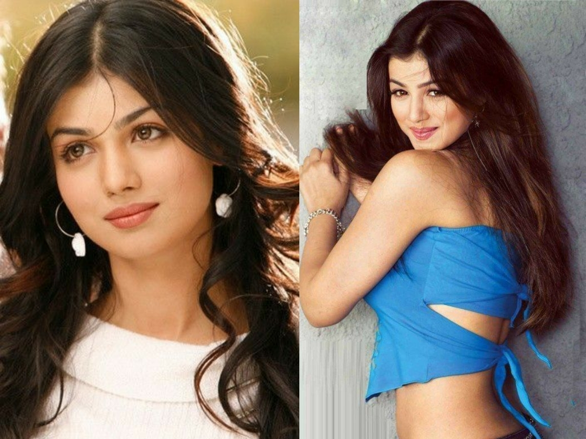 Ayesha takia with salman khan - Photo Gallery