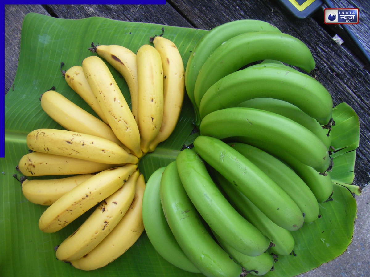 Disclaimer - Photo Gallery