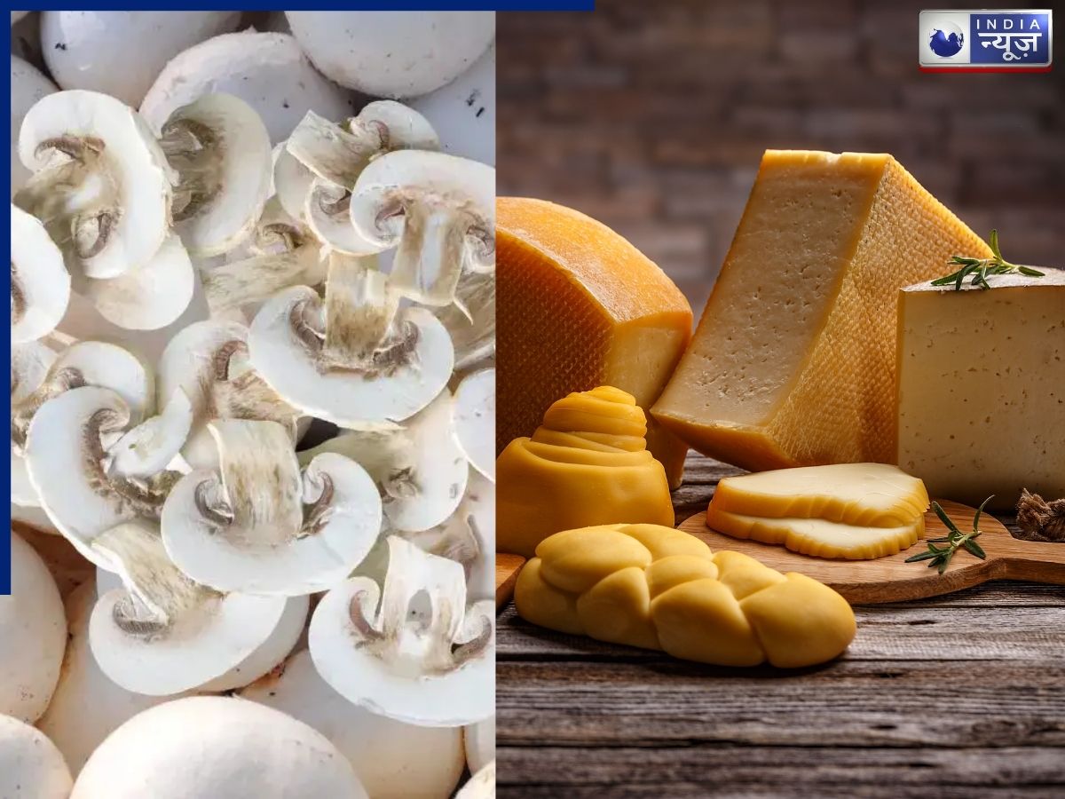 Mushrooms And Cheeses: शाकाहारियों के लिए बेस्ट, इन मशरूम और चीज को खाएं, विटामिन-D की कमी होगी दूर